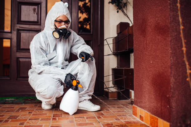 Reliable Cockroach Control contractor in Newport, SC by Nex Pest Control